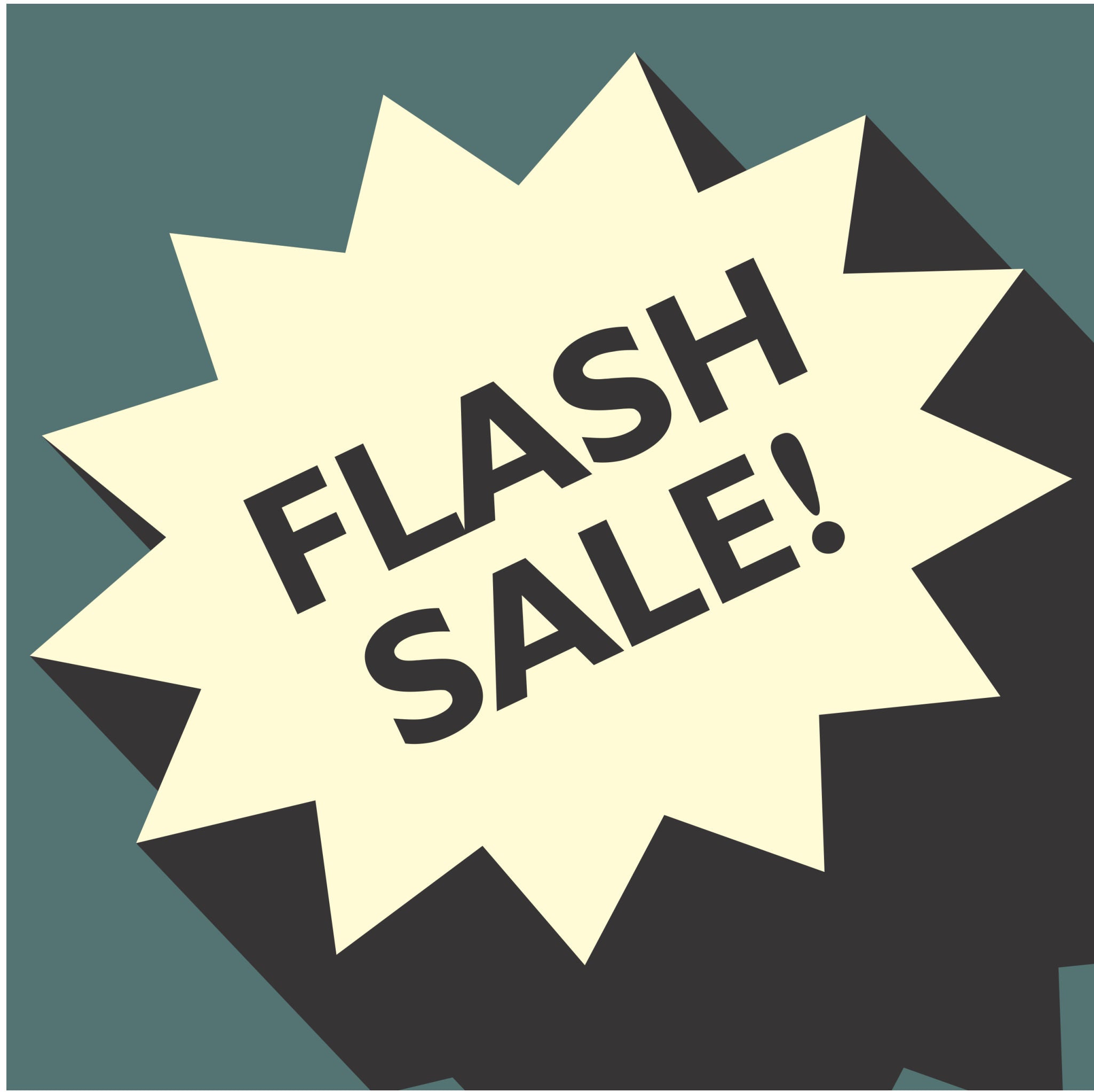 Limited Edition Flash Sale