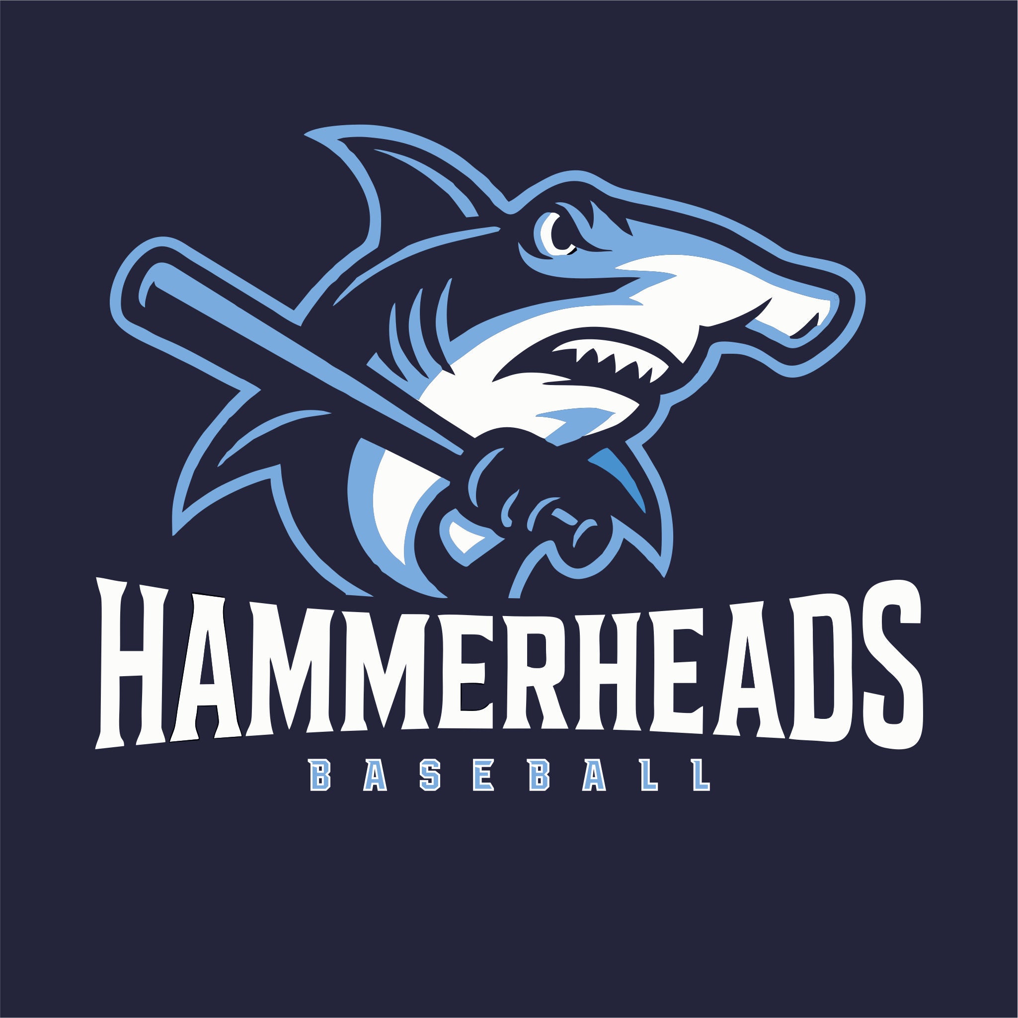Manasquan Brielle Hammerheads Baseball