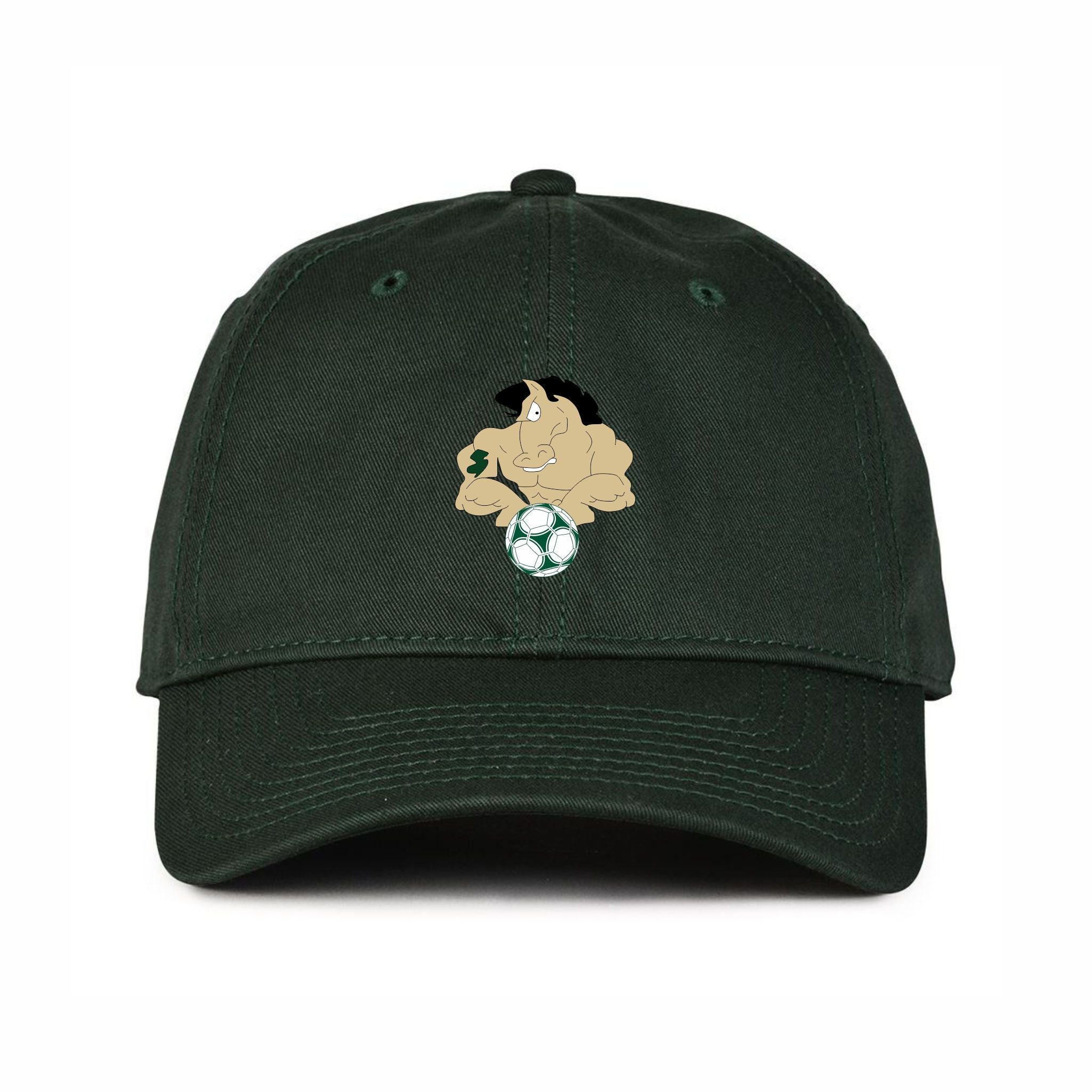 12. BMGS - Dad Hat